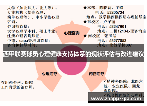 西甲联赛球员心理健康支持体系的现状评估与改进建议