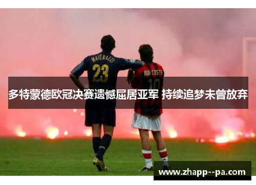 多特蒙德欧冠决赛遗憾屈居亚军 持续追梦未曾放弃 多特蒙德欧冠决赛遗憾屈居亚军 持续追梦未曾放弃